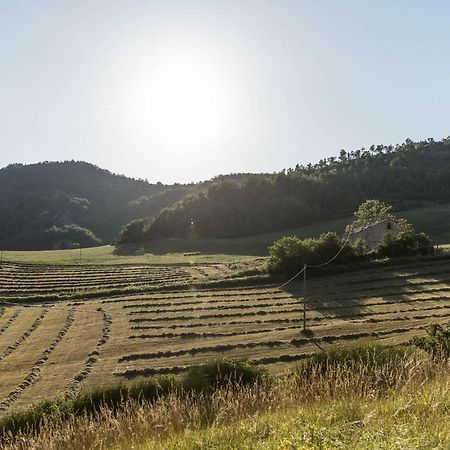 Вилла Agriturismo L'Antico Frutto Премилькуоре Экстерьер фото