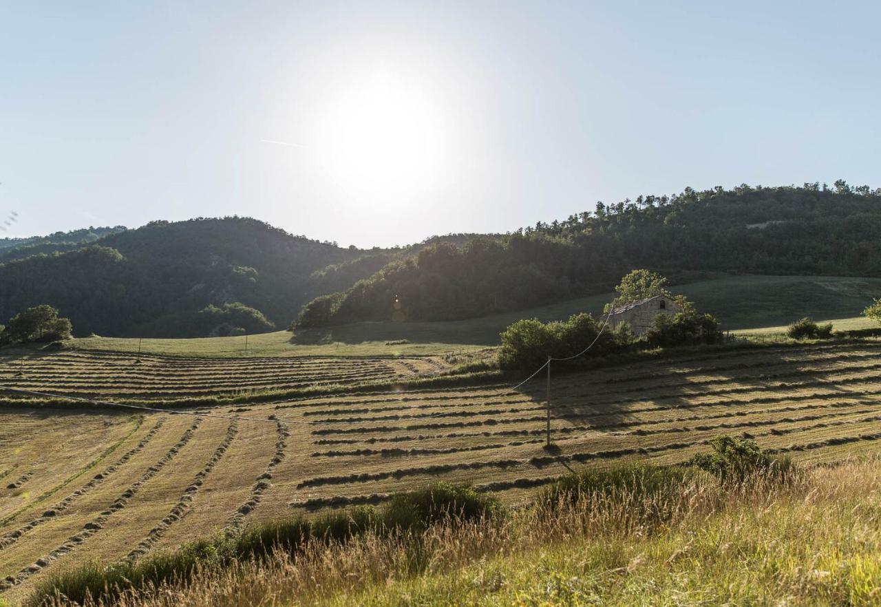 Вилла Agriturismo L'Antico Frutto Премилькуоре Экстерьер фото