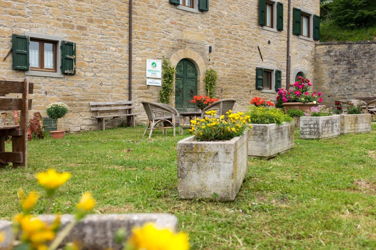 Agriturismo L'Antico Frutto Премилькуоре Экстерьер фото
