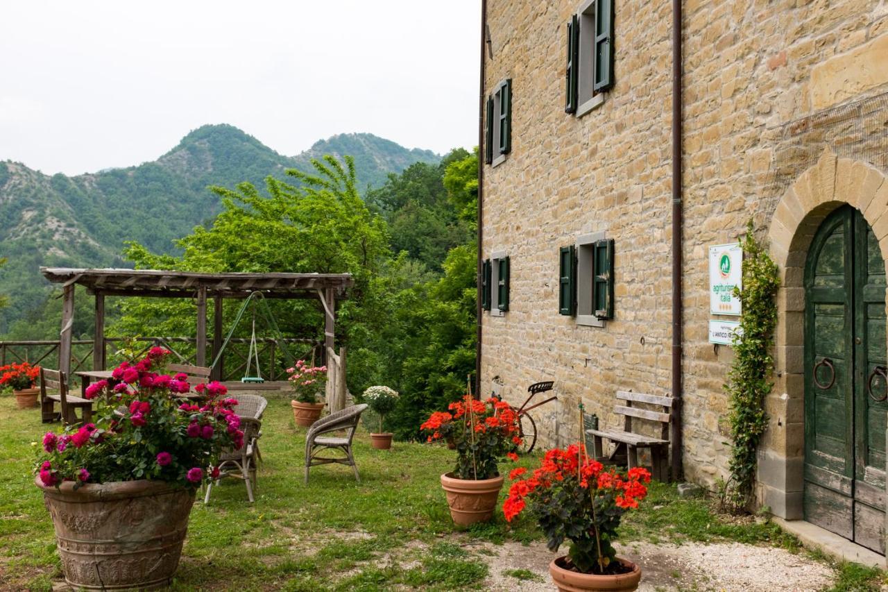 Вилла Agriturismo L'Antico Frutto Премилькуоре Экстерьер фото