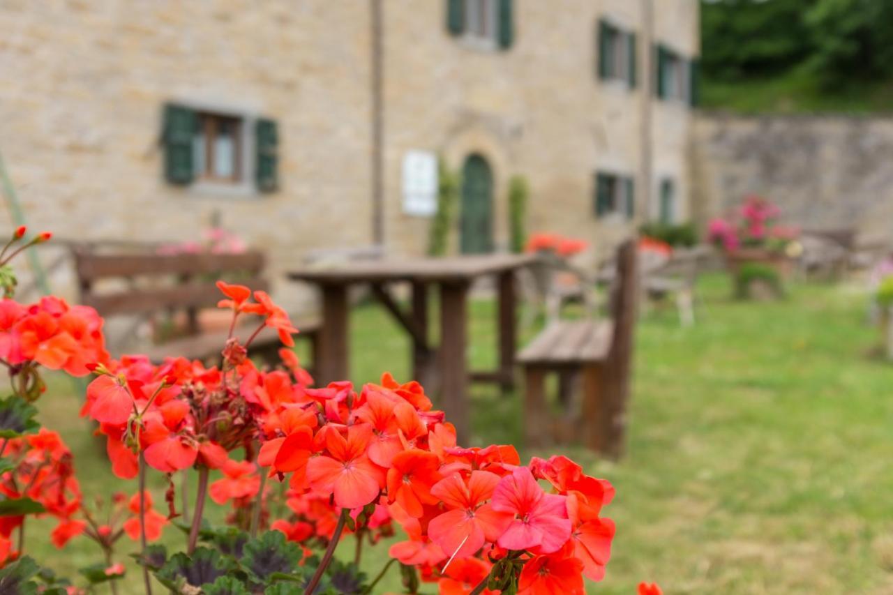 Вилла Agriturismo L'Antico Frutto Премилькуоре Экстерьер фото